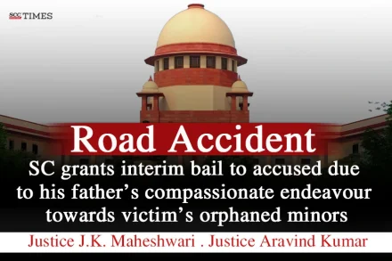 road accident interim bail